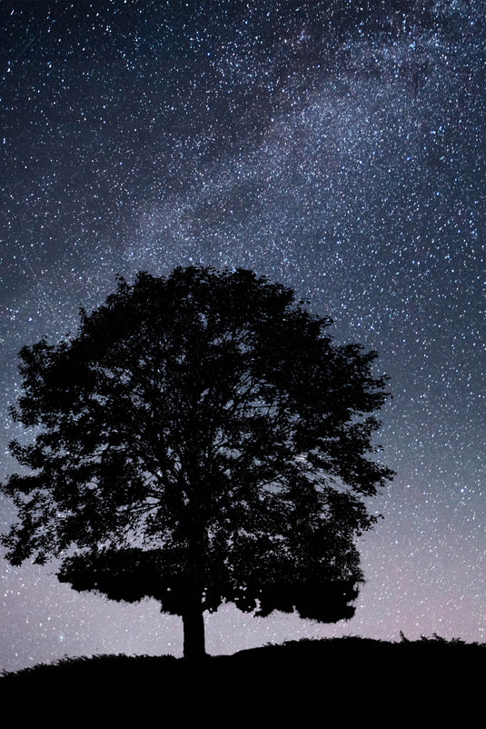 Why Can't I Sleep Through the Night?