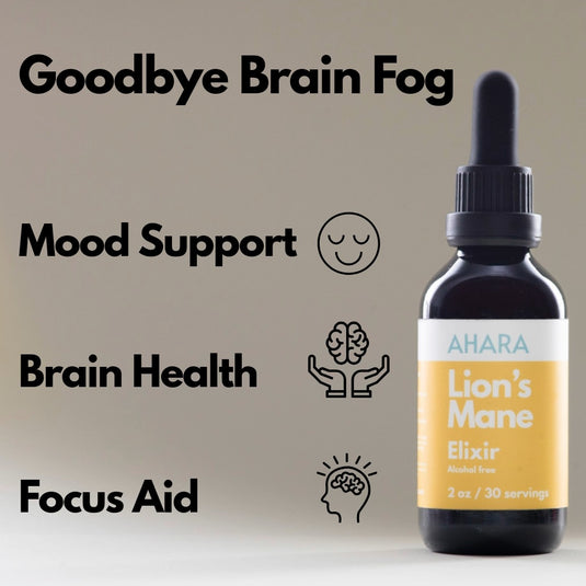 Lion's Mane Elixir