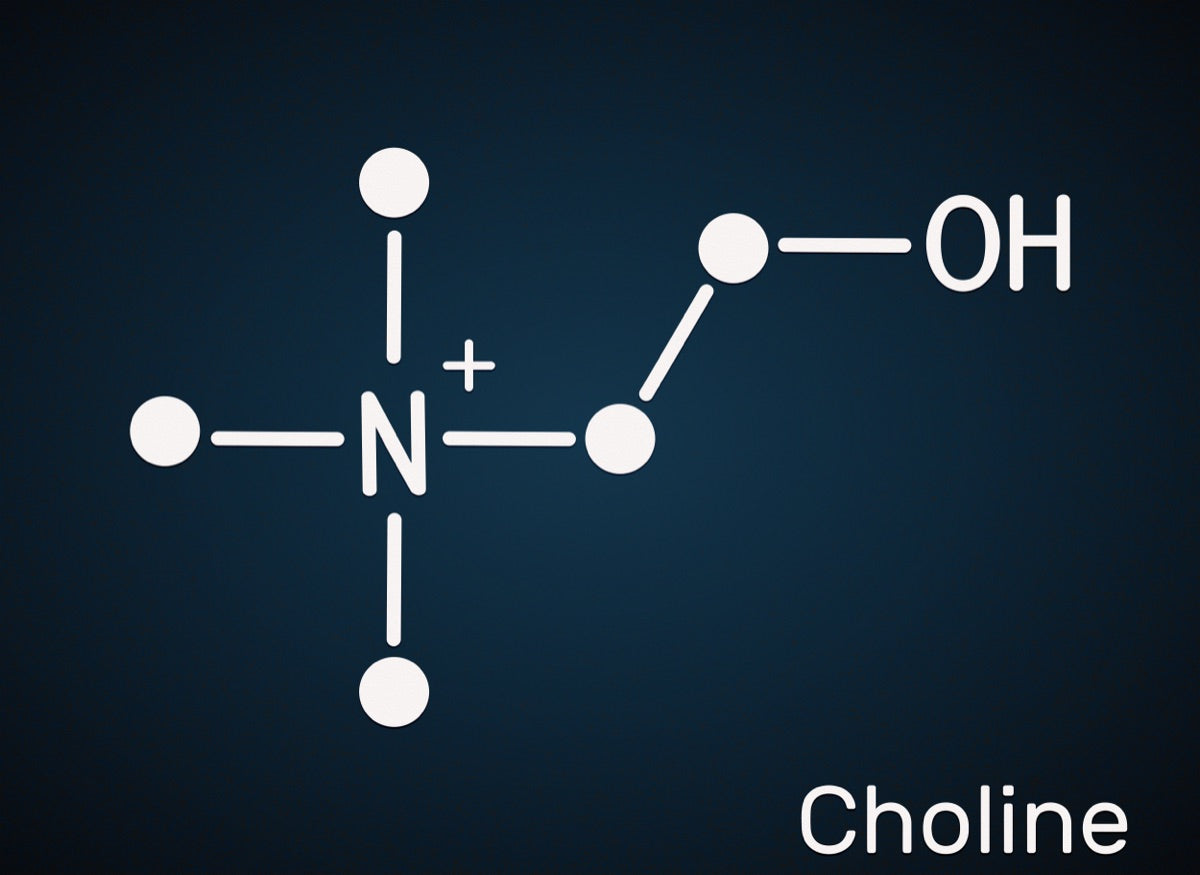 Choline molecule