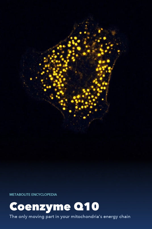 Coenzyme Q10 - AHARA Metabolite Encyclopedia