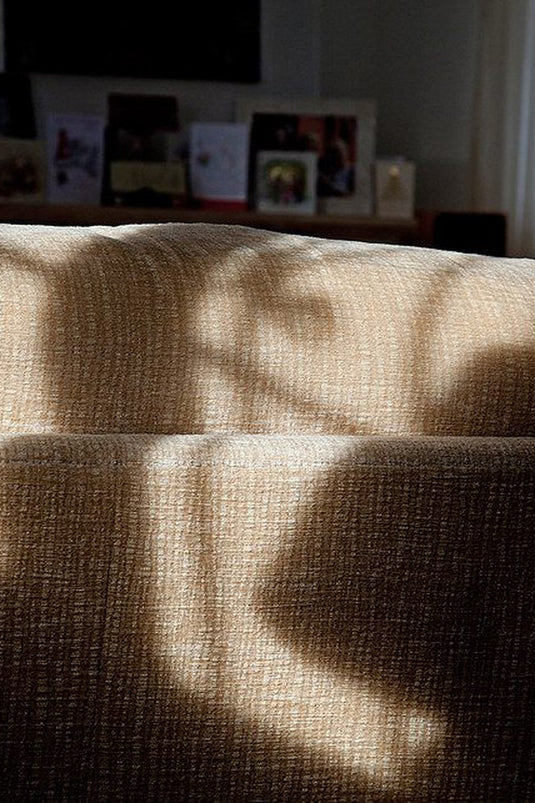 Warm morning light falling across a calm, quiet room