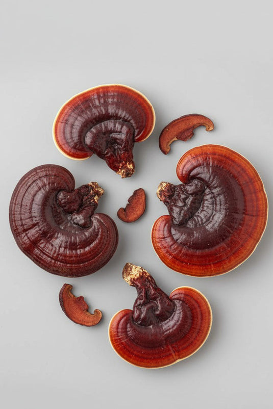 Adenine and Reishi: The Natural Sleep Alternative That Doesn't Create Tolerance