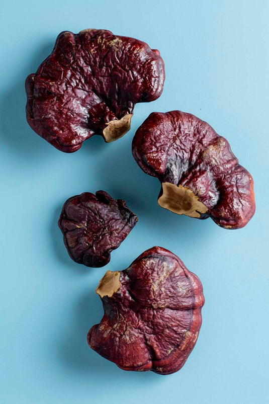 Reishi Mushroom for Sleep: Scientific Evidence for Natural Insomnia Relief