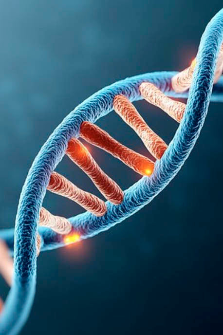 DNA Adenine