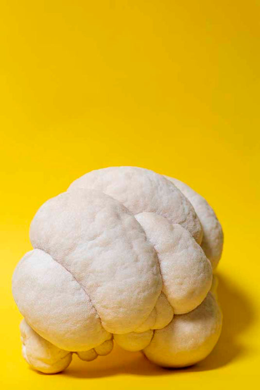 Ahara Lion's Mane Mushroom