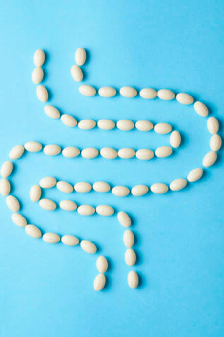 Gut Prebiotic 