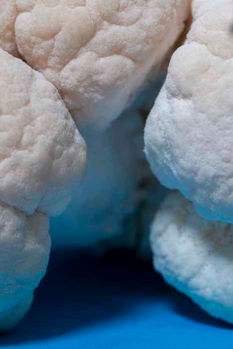 Ahara Lion's Mane Mushroom