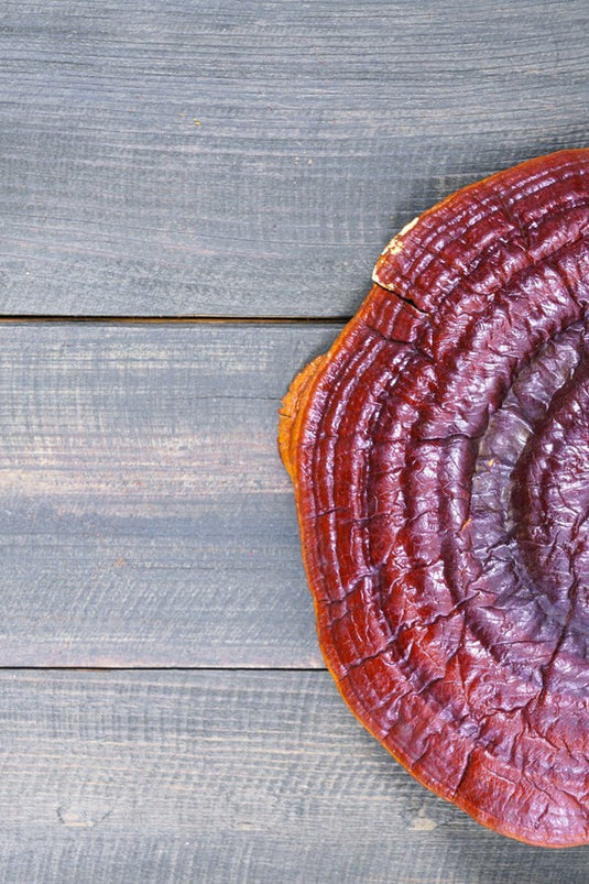 A whole reishi mushroom on a weathered grey wood surface