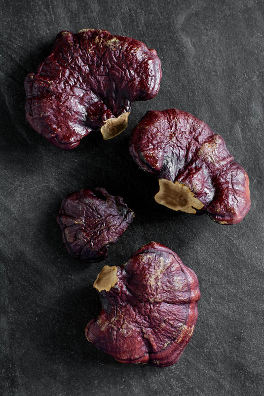 Reishi Mushroom for Sleep: Scientific Evidence for Natural Insomnia Relief