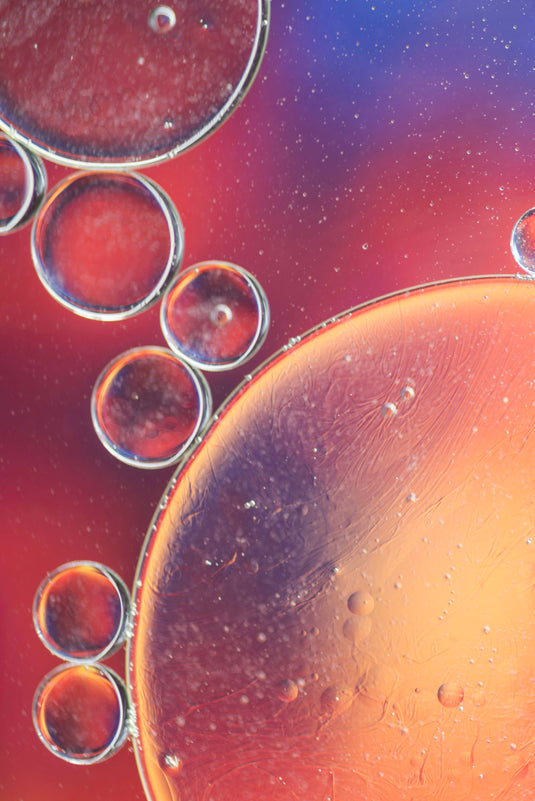 Oleamide: The Sleep Molecule Your Brain Already Makes