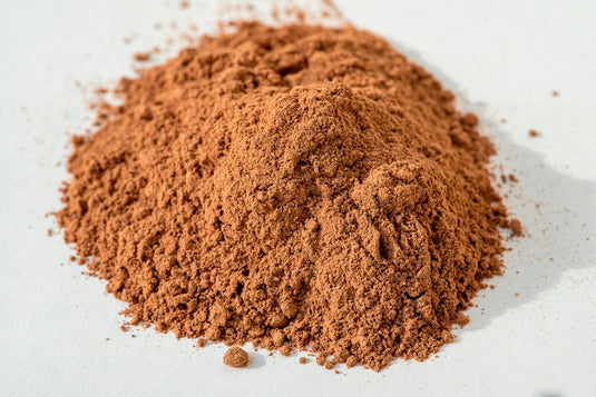 USDA Organic Lion's Mane Cocoa Powder