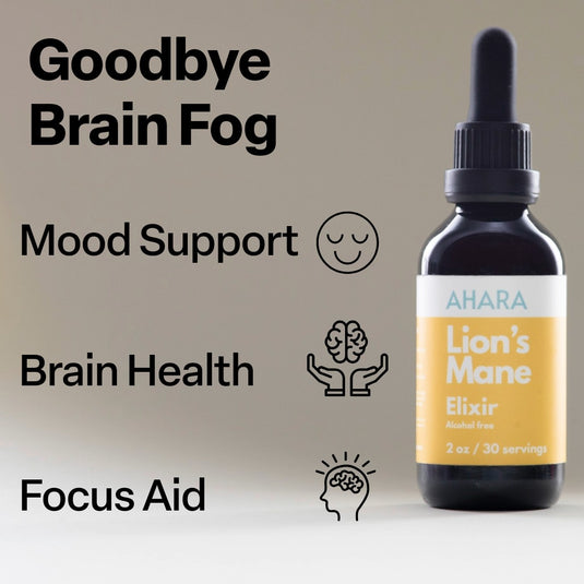 Lion's Mane Elixir