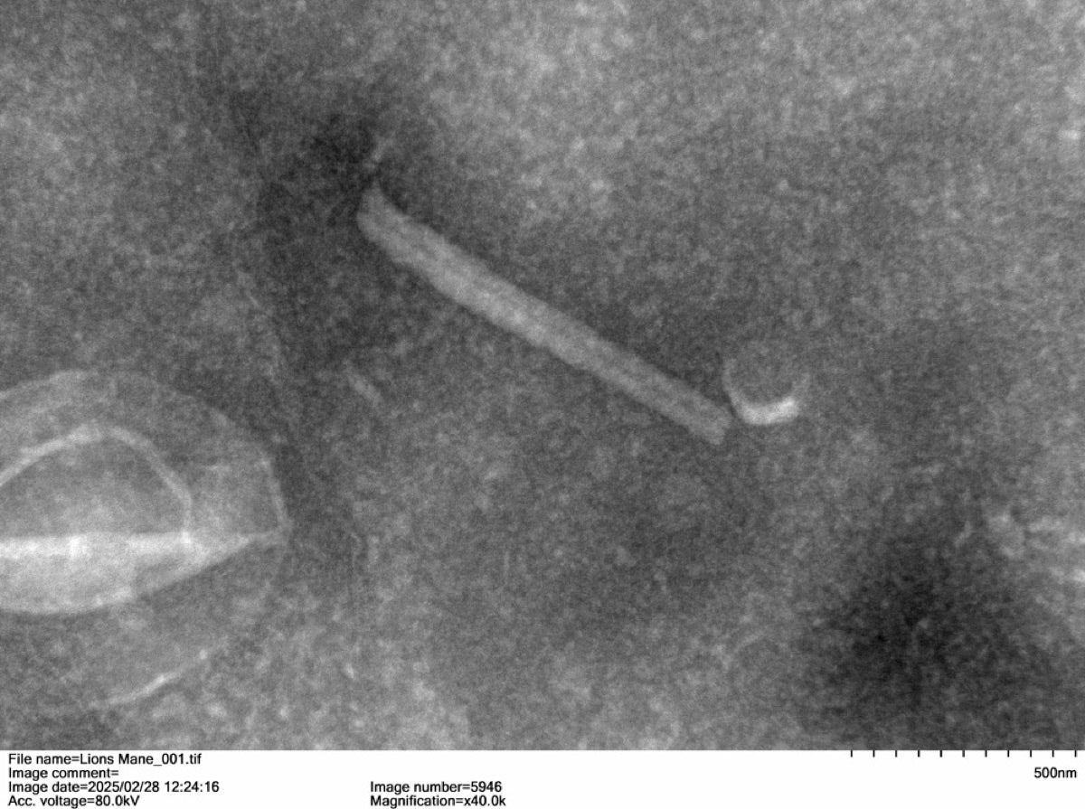 Nanofiber macro