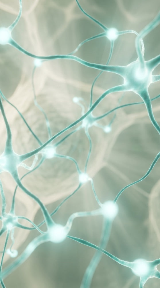 Peptide Metabolism microscopy